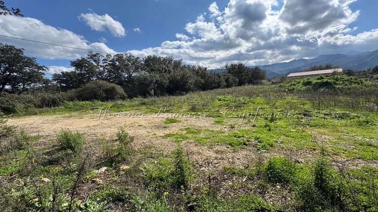 Ma-Cabane - Vente Terrain SPELONCATO, 990 m²