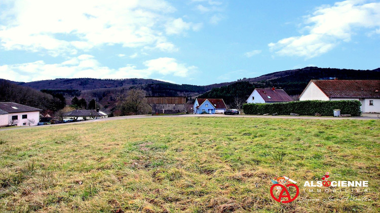 Ma-Cabane - Vente Terrain Steige, 750 m²