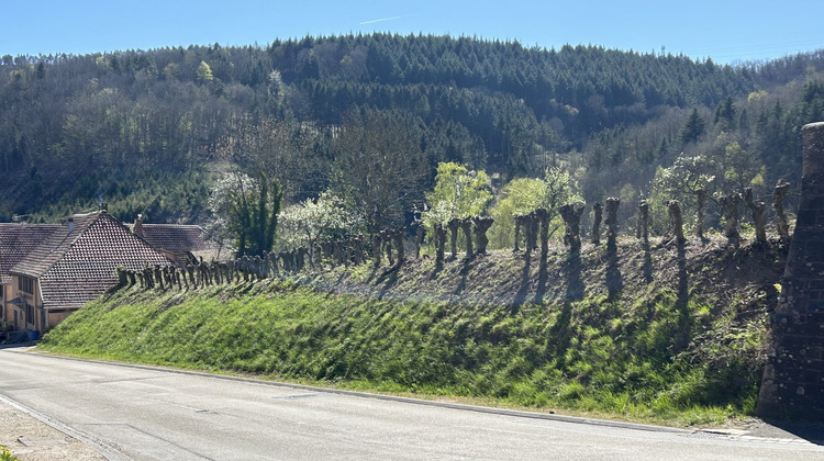 Ma-Cabane - Vente Terrain Steige, 1384 m²