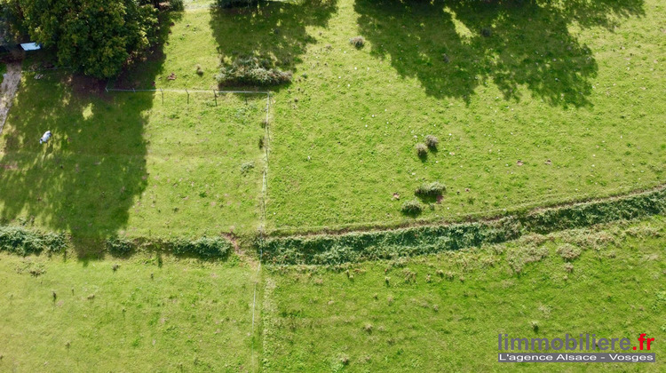 Ma-Cabane - Vente Terrain Taintrux, 9050 m²