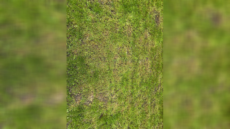 Ma-Cabane - Vente Terrain Tallende, 1000 m²