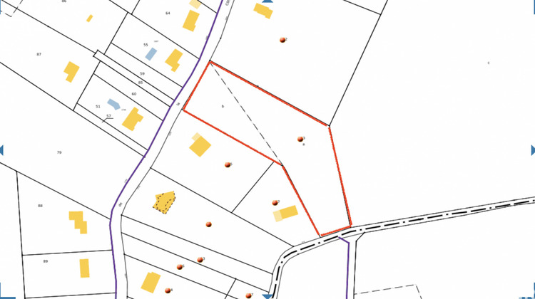 Ma-Cabane - Vente Terrain Tamniès, 7136 m²