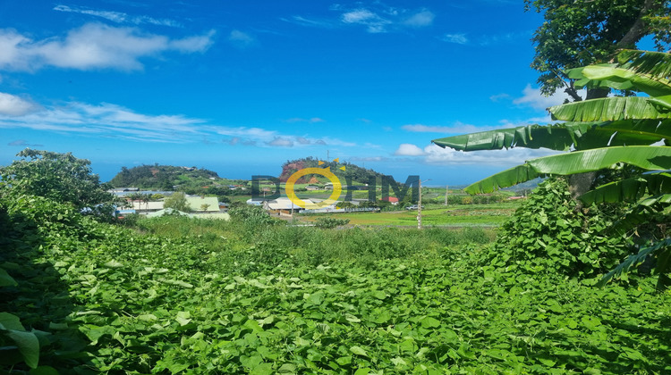 Ma-Cabane - Vente Terrain Tampon, 750 m²