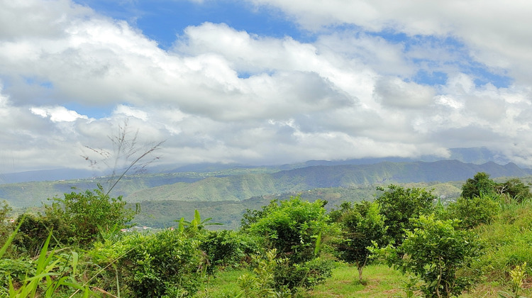 Ma-Cabane - Vente Terrain Tampon, 1053 m²