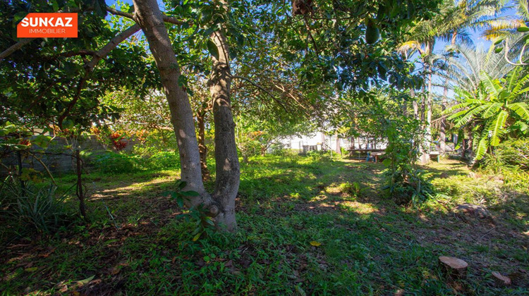 Ma-Cabane - Vente Terrain TAMPON, 278 m²