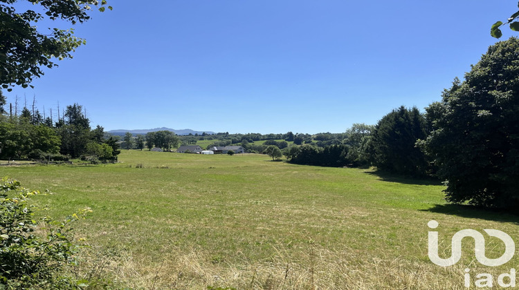 Ma-Cabane - Vente Terrain Tauves, 4255 m²