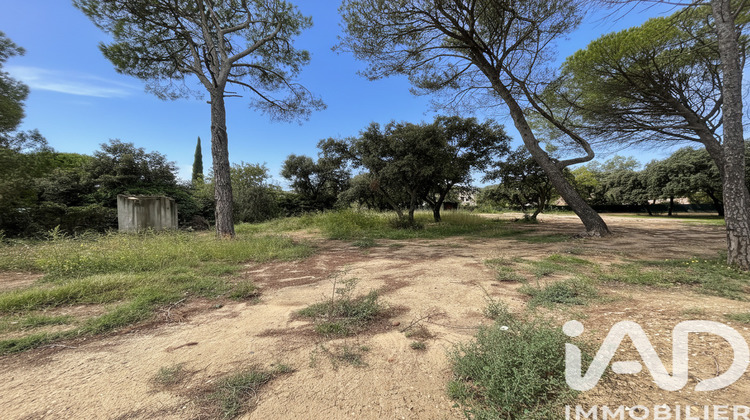 Ma-Cabane - Vente Terrain Tavel, 730 m²