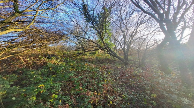 Ma-Cabane - Vente Terrain TELGRUC SUR MER, 62680 m²