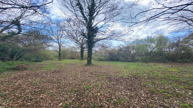 Ma-Cabane - Vente Terrain TELGRUC SUR MER, 3869 m²