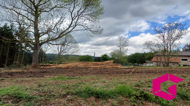 Ma-Cabane - Vente Terrain Tence, 5200 m²