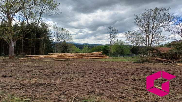 Ma-Cabane - Vente Terrain Tence, 5200 m²