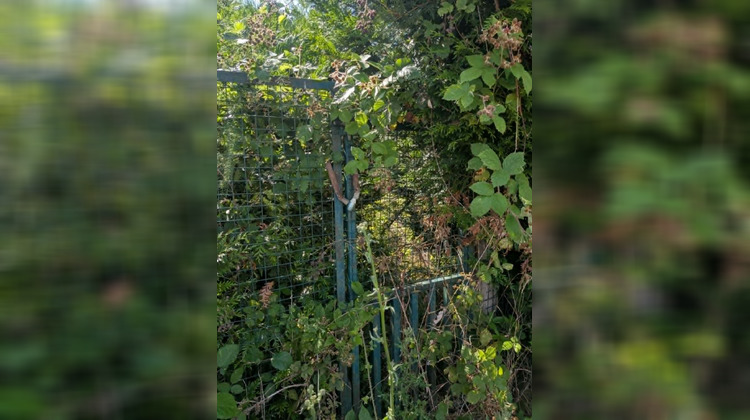 Ma-Cabane - Vente Terrain Tergnier, 341 m²