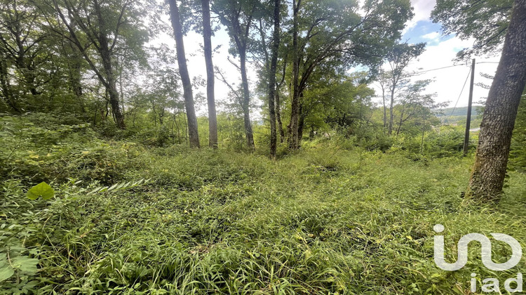 Ma-Cabane - Vente Terrain Terrasson-Lavilledieu, 8680 m²