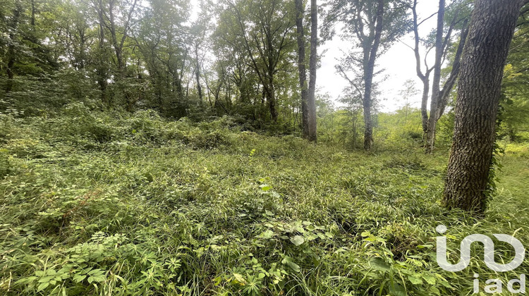 Ma-Cabane - Vente Terrain Terrasson-Lavilledieu, 8680 m²