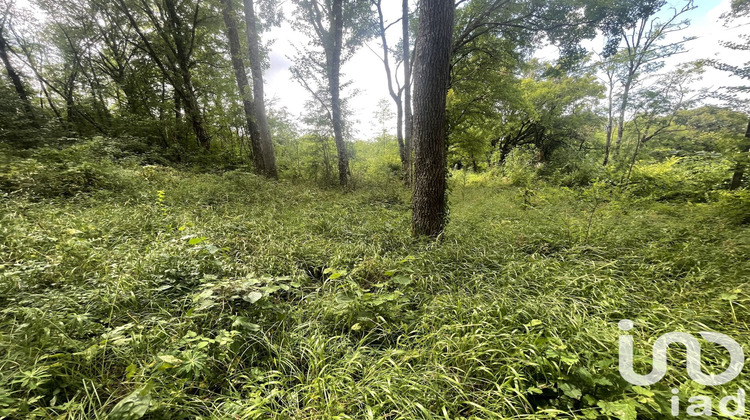 Ma-Cabane - Vente Terrain Terrasson-Lavilledieu, 8680 m²