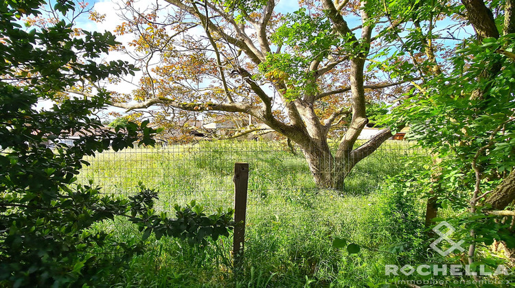 Ma-Cabane - Vente Terrain Thairé, 1287 m²