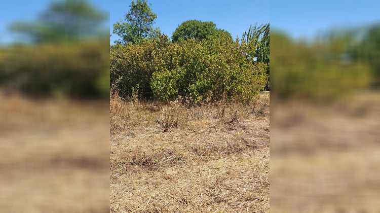 Ma-Cabane - Vente Terrain THAIRE, 800 m²