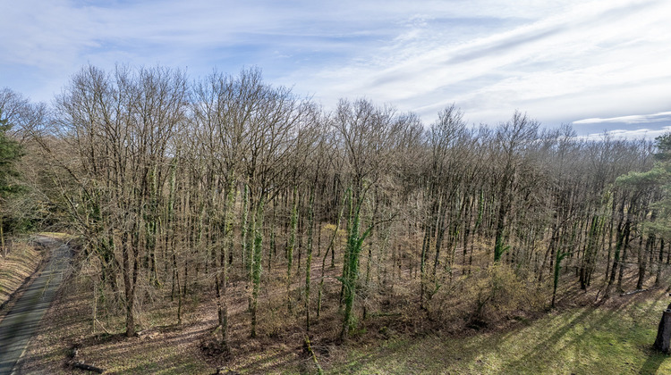 Ma-Cabane - Vente Terrain THENIOUX, 6783 m²