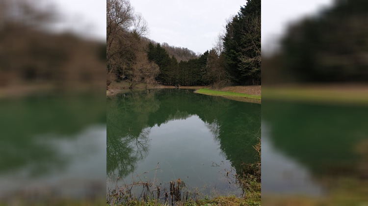 Ma-Cabane - Vente Terrain Thiaucourt-Regniéville, 3200 m²