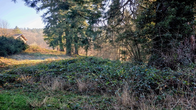 Ma-Cabane - Vente Terrain THIERS, 3574 m²