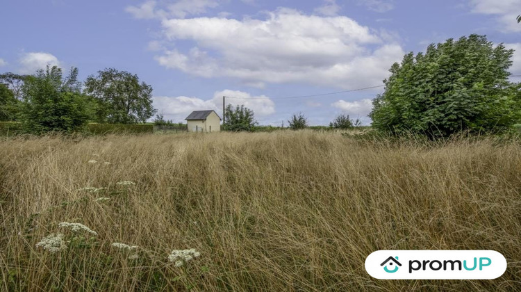 Ma-Cabane - Vente Terrain Thieux, 883 m²