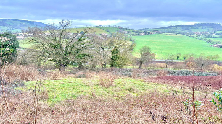 Ma-Cabane - Vente Terrain THIZY, 960 m²