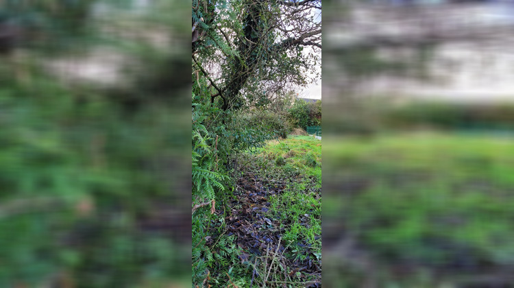 Ma-Cabane - Vente Terrain THORIGNE-FOUILLARD, 400 m²