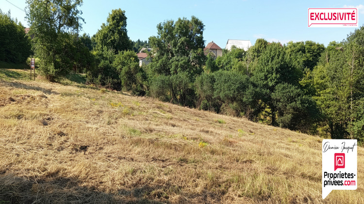 Ma-Cabane - Vente Terrain THULAY, 2740 m²