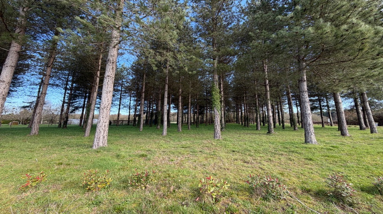 Ma-Cabane - Vente Terrain TIERCE, 3000 m²