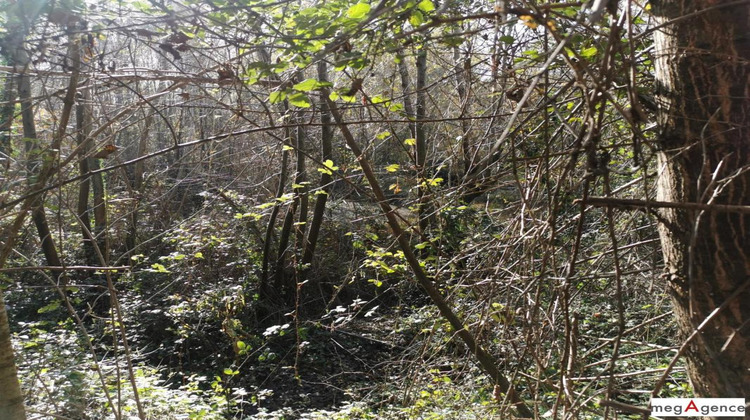 Ma-Cabane - Vente Terrain TIESTE URAGNOUX, 18204 m²