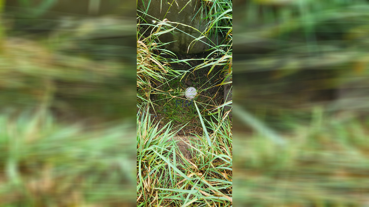 Ma-Cabane - Vente Terrain Torcy-le-Petit, 5118 m²