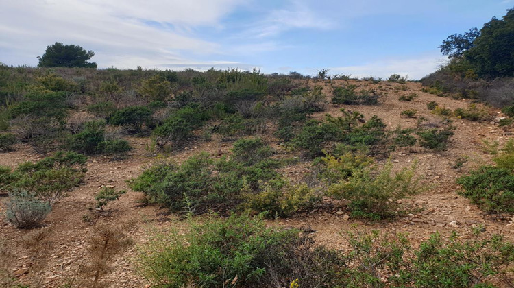 Ma-Cabane - Vente Terrain TORDERES, 10000 m²