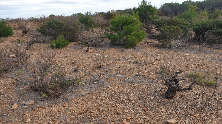 Ma-Cabane - Vente Terrain TORDERES, 10000 m²