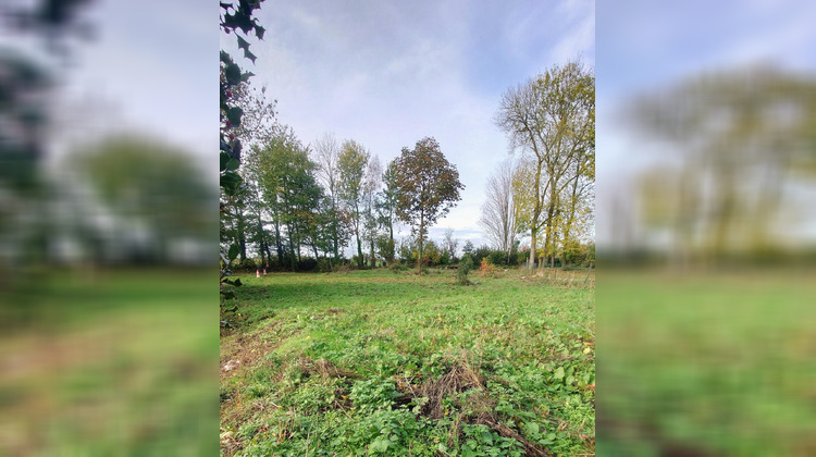 Ma-Cabane - Vente Terrain Touffreville-la-Cable, 6200 m²