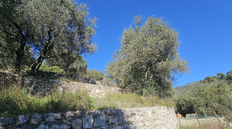 Ma-Cabane - Vente Terrain TOURRETTE LEVENS, 4382 m²