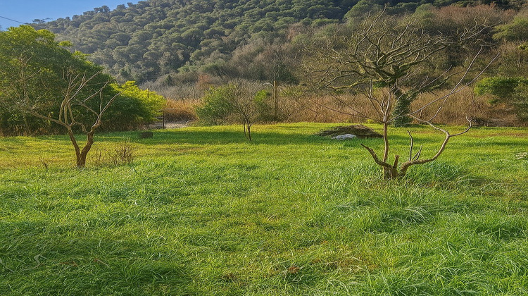 Ma-Cabane - Vente Terrain TOURRETTE LEVENS, 963 m²