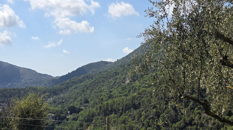 Ma-Cabane - Vente Terrain TOURRETTE LEVENS, 3770 m²