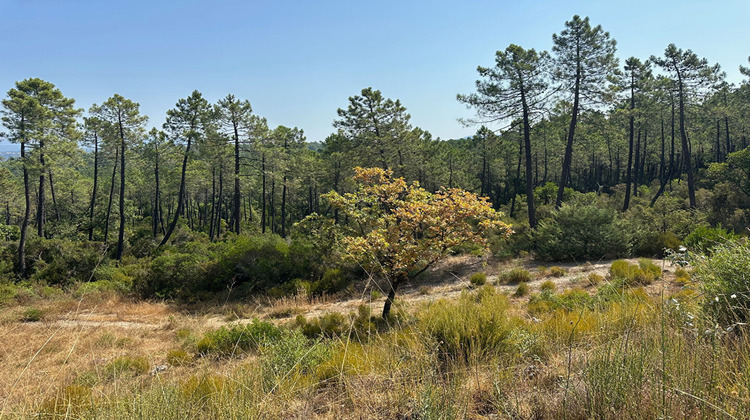 Ma-Cabane - Vente Terrain TOURRETTES, 12529 m²