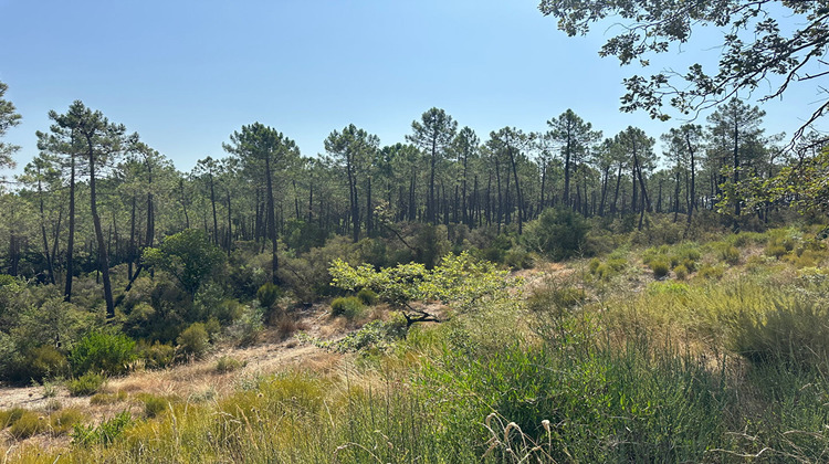 Ma-Cabane - Vente Terrain TOURRETTES, 12529 m²