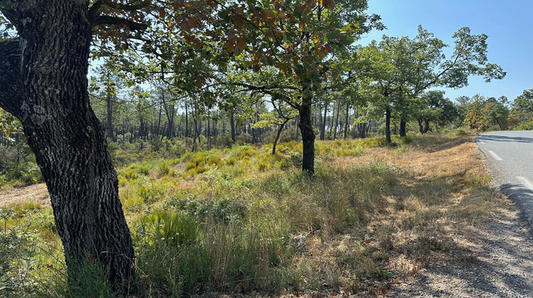 Ma-Cabane - Vente Terrain TOURRETTES, 12529 m²