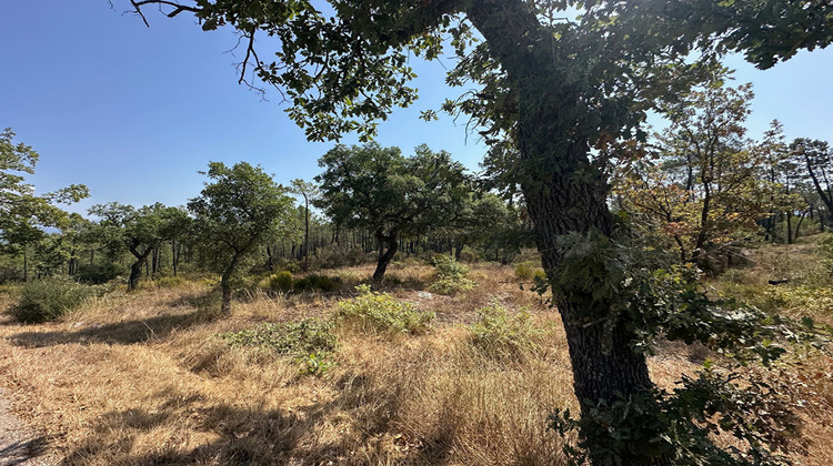Ma-Cabane - Vente Terrain TOURRETTES, 12529 m²