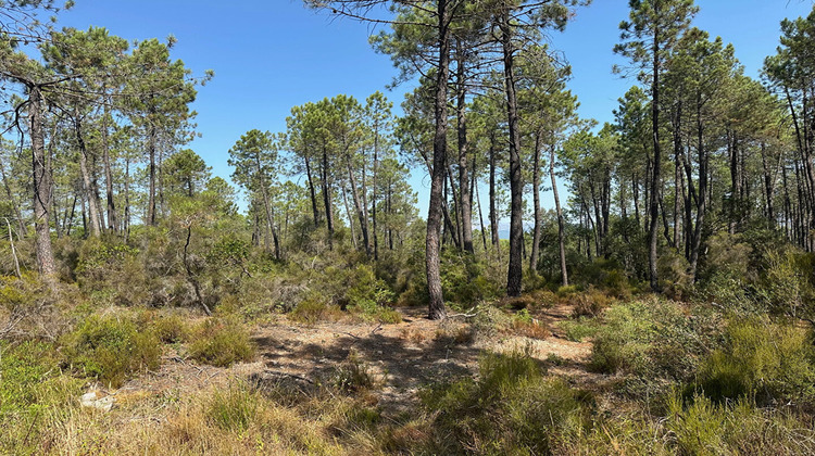 Ma-Cabane - Vente Terrain TOURRETTES, 9963 m²