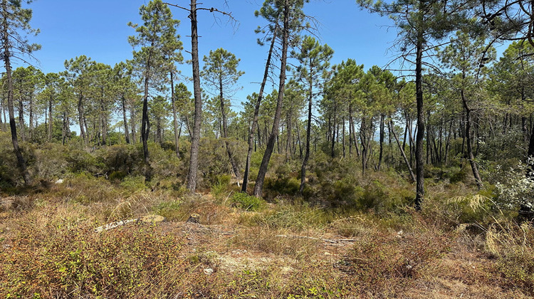 Ma-Cabane - Vente Terrain TOURRETTES, 9963 m²