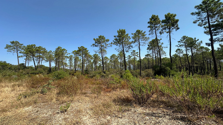 Ma-Cabane - Vente Terrain TOURRETTES, 9963 m²