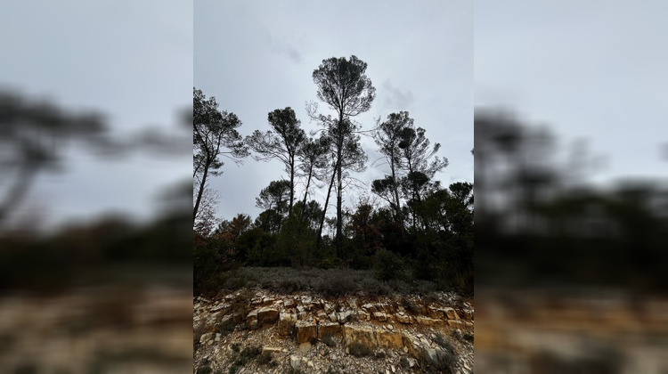 Ma-Cabane - Vente Terrain Tourves, 5085 m²