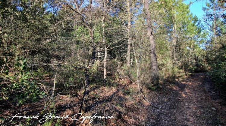 Ma-Cabane - Vente Terrain TOURVES, 55050 m²