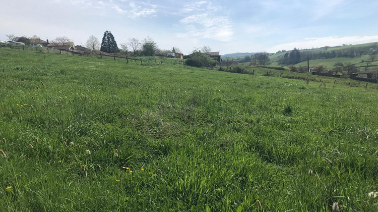 Ma-Cabane - Vente Terrain TRAMBLY, 6025 m²