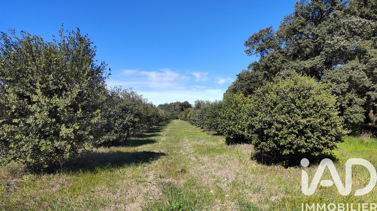 Ma-Cabane - Vente Terrain Travaillan, 4400 m²