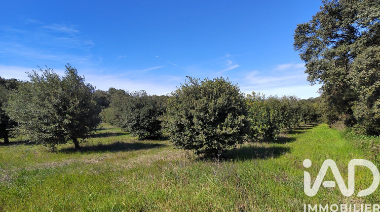 Ma-Cabane - Vente Terrain Travaillan, 4400 m²