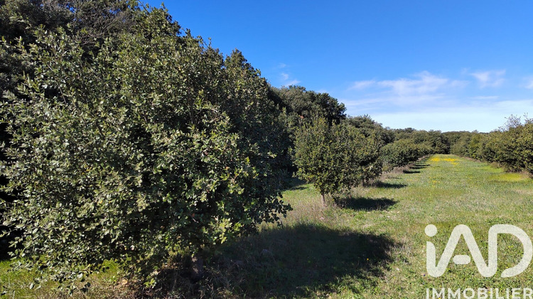 Ma-Cabane - Vente Terrain Travaillan, 4400 m²